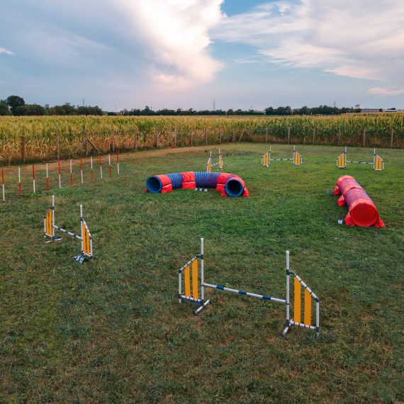 addestramento cani bergamo educazione agility dog bergamo