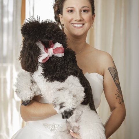 dog sitter per matrimoni bergamo