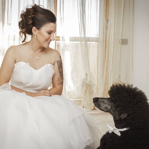 dog sitter per matrimoni bergamo
