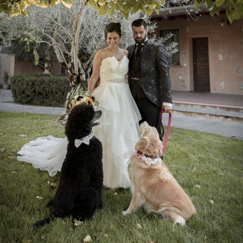 dog sitter per matrimoni bergamo