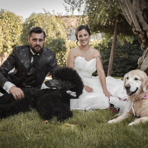 dog sitter per matrimoni bergamo