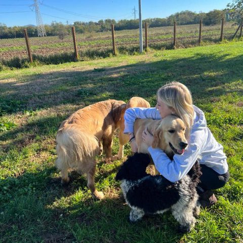 Pensione per cani e gatti a bergamo